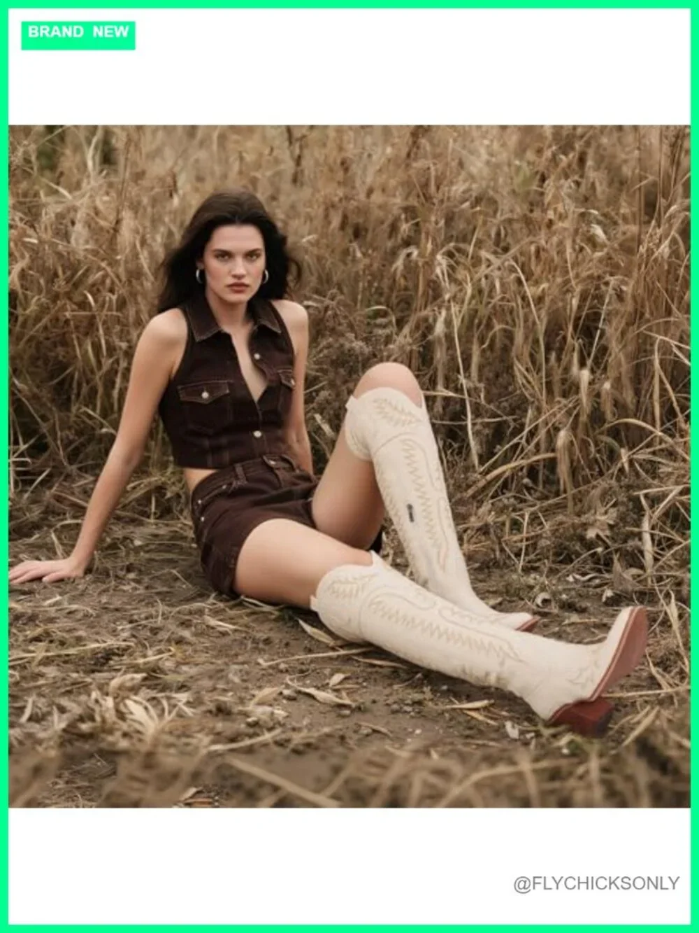 Over The Knee Cowboy Boots Chunky Heel Western Embroidery Tall Boots with Zipper